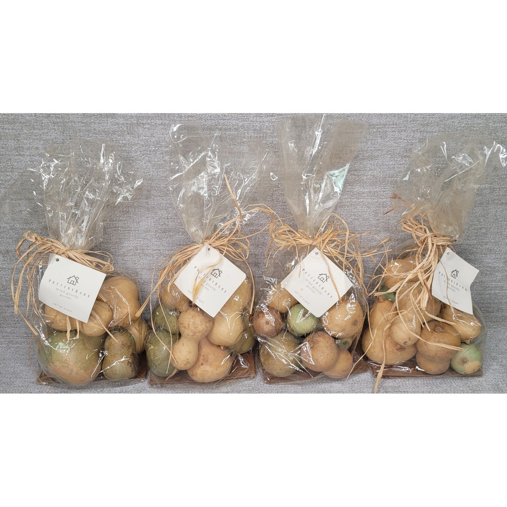Pottery Barn Real Dried Gourds Made USA Grown in California Fall Bowl Filler NIP